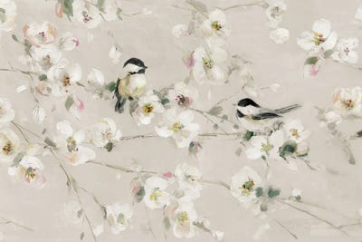 Sweet Song of Spring by Sally Swatland acrylic art print