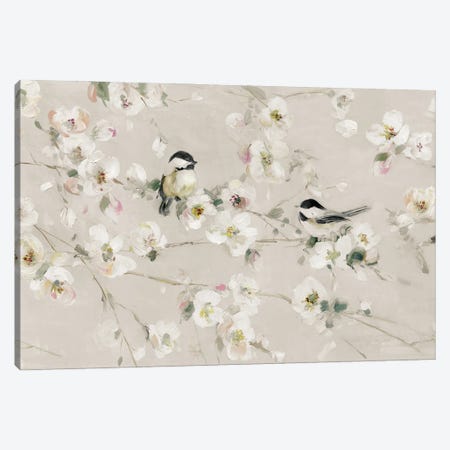 Sweet Song of Spring Canvas Print #SWA401} by Sally Swatland Art Print