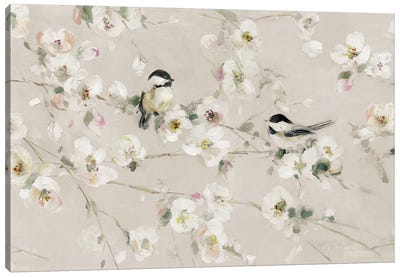 Sweet Song of Spring Canvas Art Print - Sally Swatland