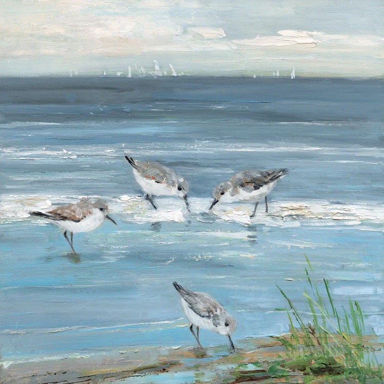 Dunlin Beach II by Sally Swatland wall art