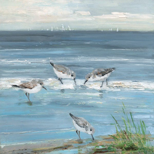Dunlin Beach II