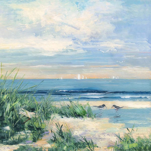 Large Coastal Art - Canvas Prints: Paradise Coast by Sally Swatland