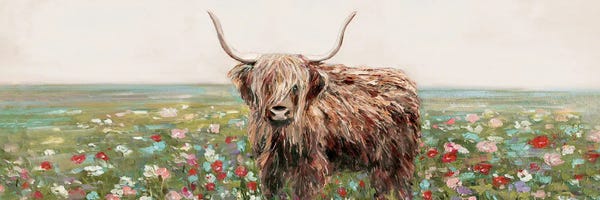 Wildflowers: Highland Cow by Sally Swatland