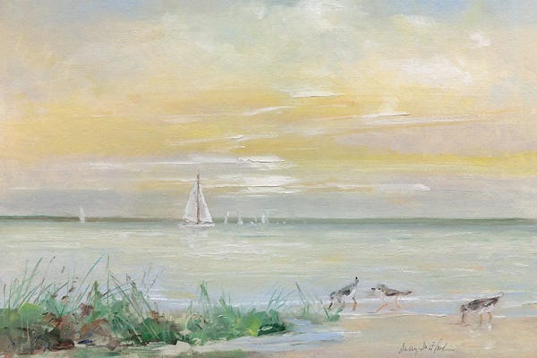 Sandpiper's View