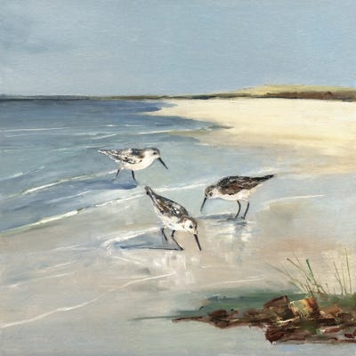 Snadpiper Cove I by Sally Swatland framed wall art