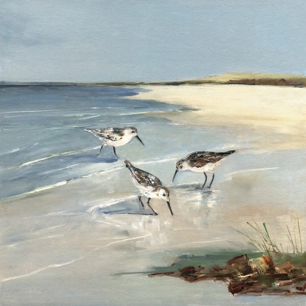 Snadpiper Cove I