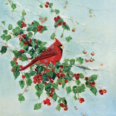 Sally Swatland - Steelpix Metal Wall Art: Christmas Berry Cardinal I by Sally Swatland