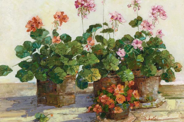Geraniums: Veranda In Positano I by Sally Swatland