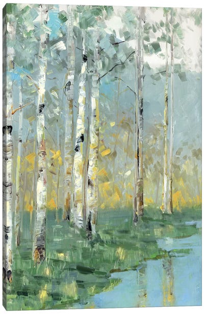 Birch Reflections III Canvas Art Print - Abstract Landscapes Art