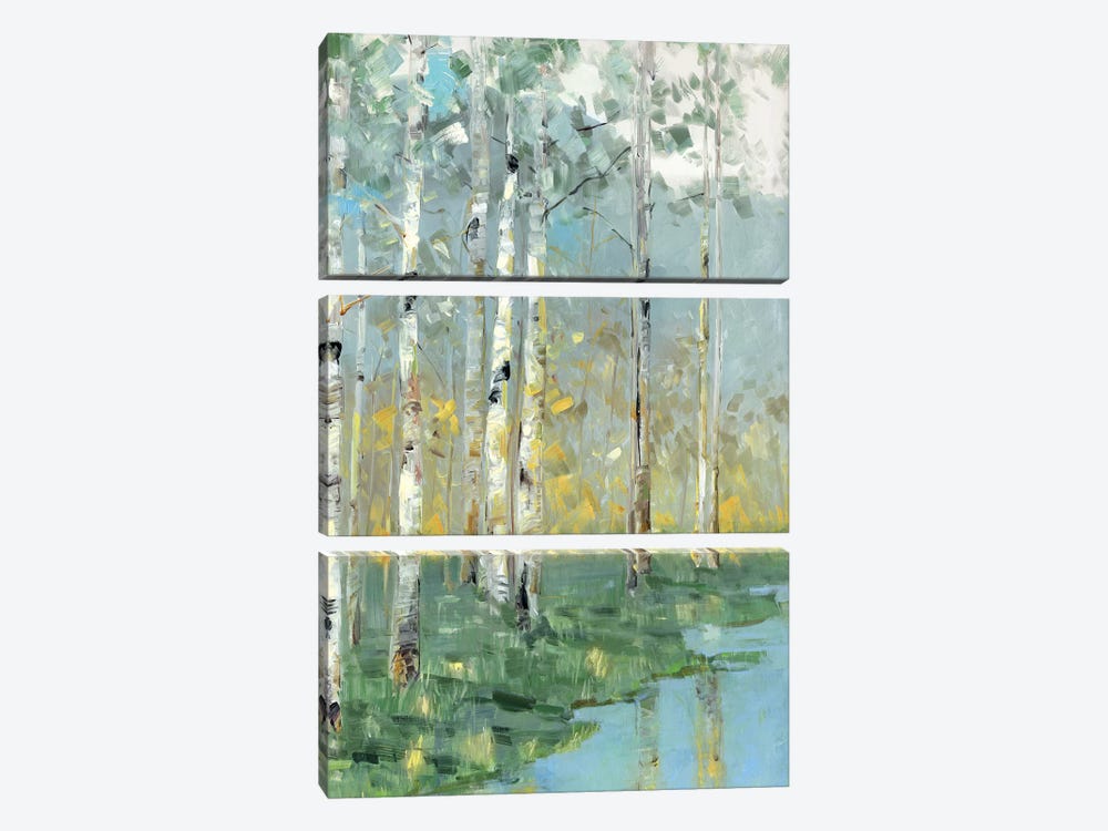Birch Reflections III by Sally Swatland 3-piece Canvas Wall Art