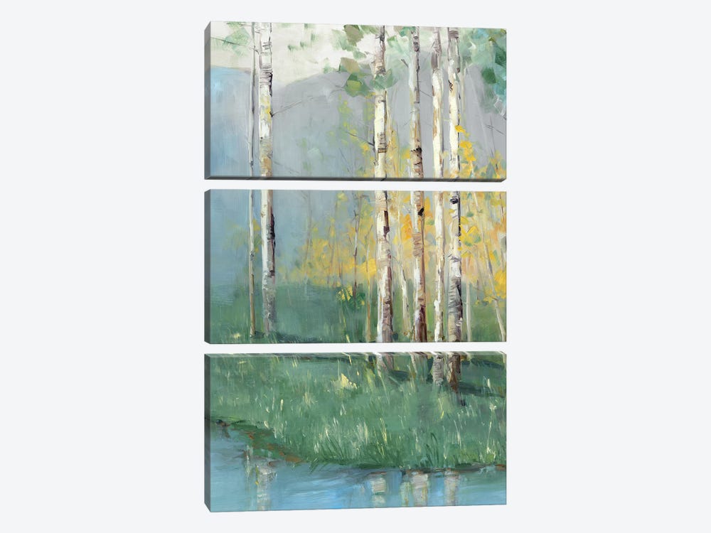 Birch Reflections IV by Sally Swatland 3-piece Art Print