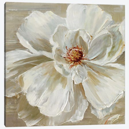Bloomin' Beauty I Canvas Print #SWA6} by Sally Swatland Art Print