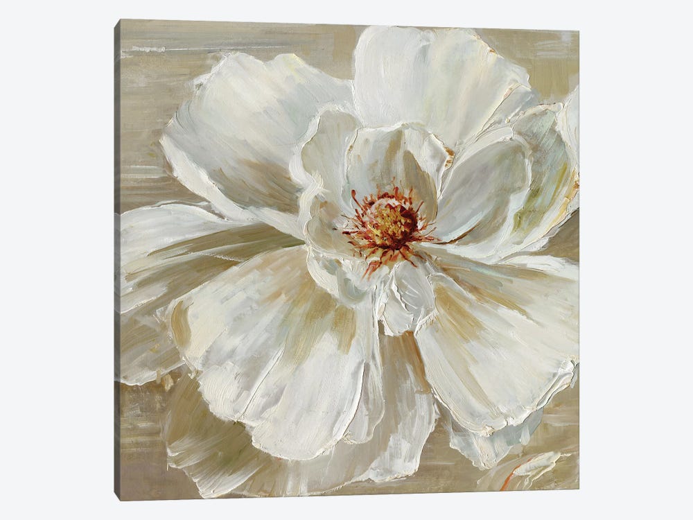 Bloomin' Beauty I by Sally Swatland 1-piece Canvas Wall Art