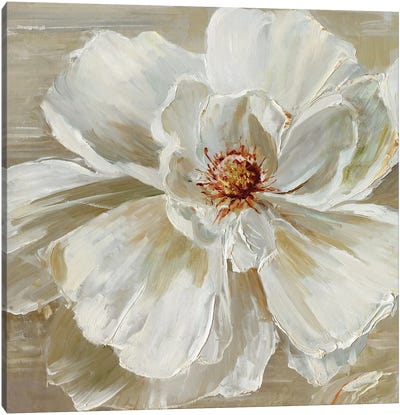 Bloomin' Beauty I Canvas Art Print - Sally Swatland