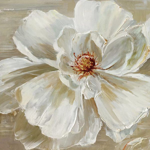 Nature Close-Ups: Bloomin' Beauty I by Sally Swatland