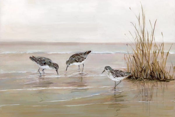 Beaches: Early Risers II by Sally Swatland