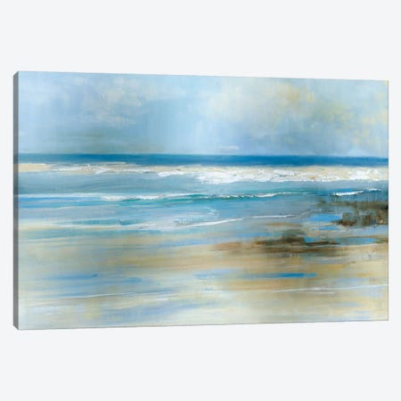 Ocean Breeze Canvas Print #SWA77} by Sally Swatland Canvas Wall Art