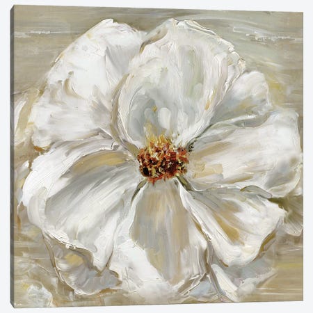 Bloomin' Beauty II Canvas Print #SWA7} by Sally Swatland Canvas Art Print