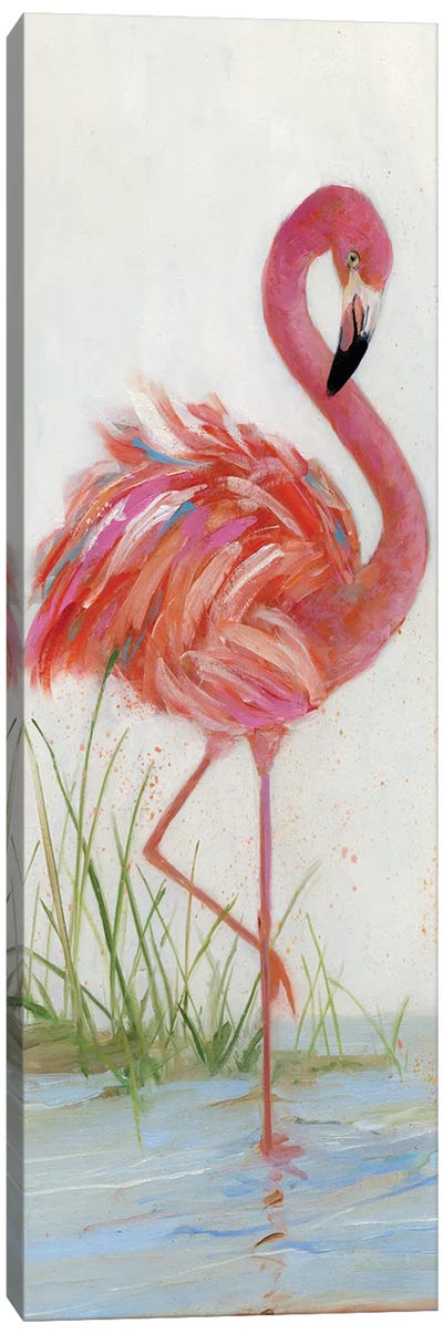 Flamingo I Canvas Art Print - 3-Piece Panoramic Art
