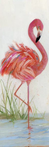 Flamingos: Flamingo I by Sally Swatland