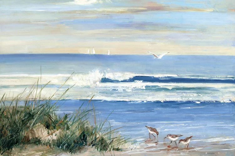 Beach Combers by Sally Swatland canvas print