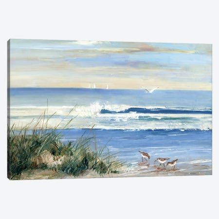 Beach Combers Canvas Print #SWA91} by Sally Swatland Art Print