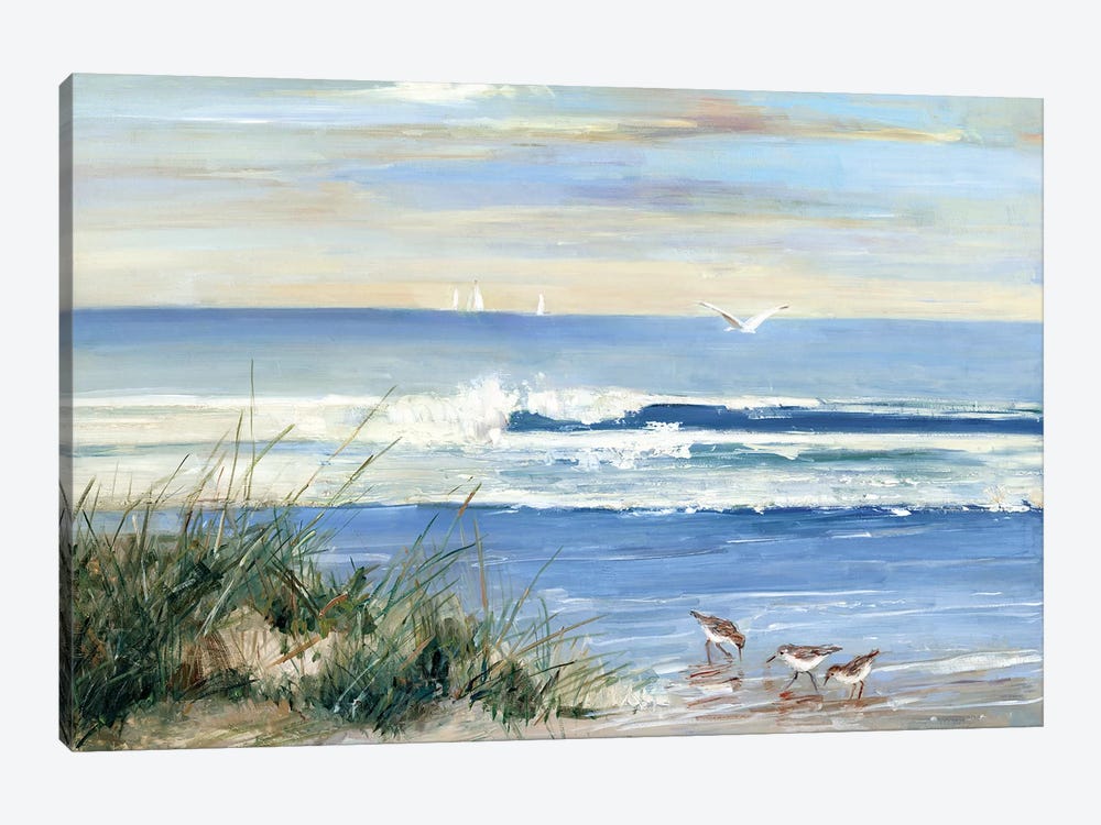 Beach Combers by Sally Swatland 1-piece Canvas Art Print