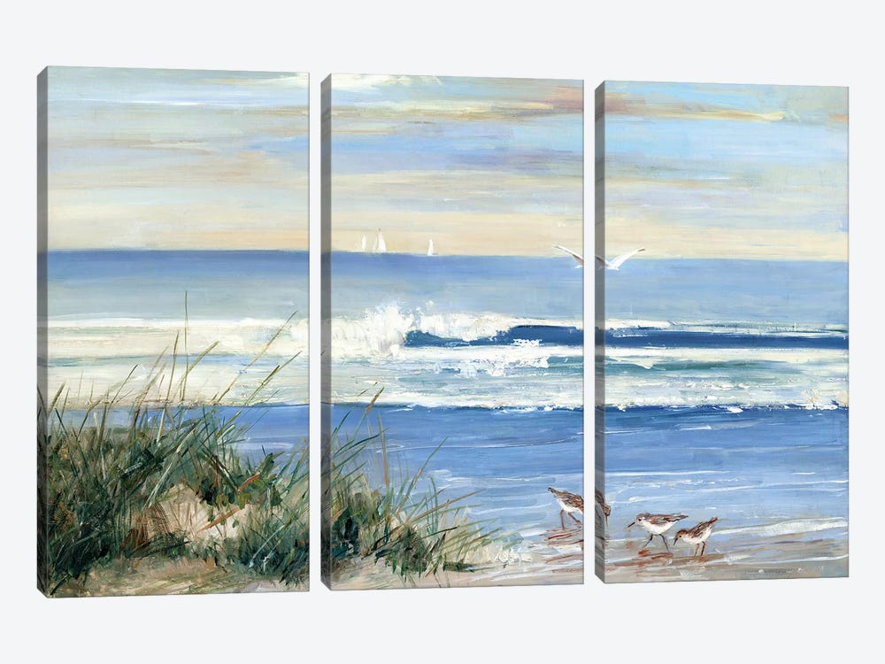 Beach Combers by Sally Swatland 3-piece Canvas Art Print