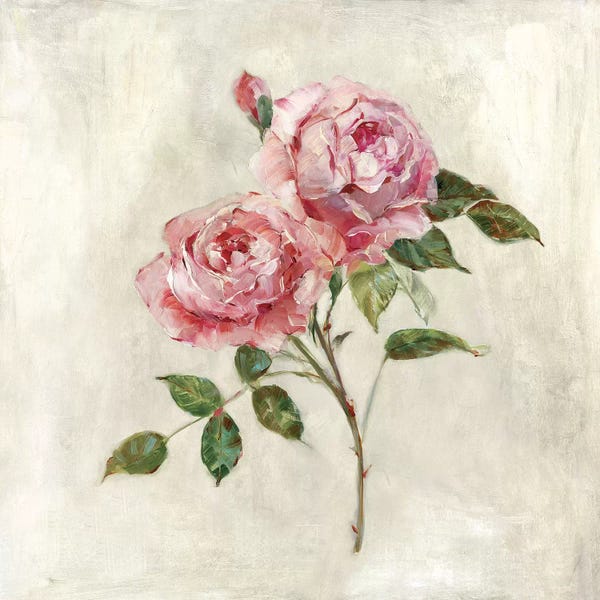 French Country Décor: Botanical Beauties I by Sally Swatland