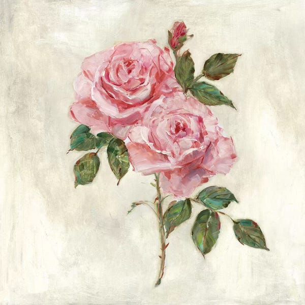 French Country Décor: Botanical Beauties II by Sally Swatland