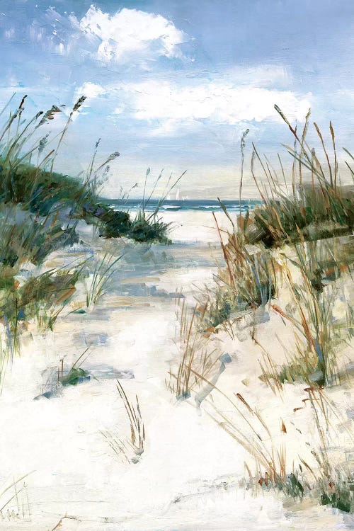 Dune View by Sally Swatland canvas print