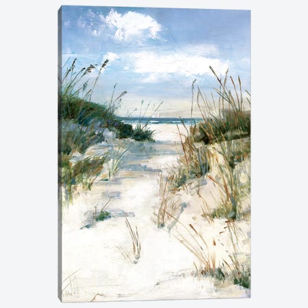 Dune View Canvas Print #SWA99} by Sally Swatland Art Print