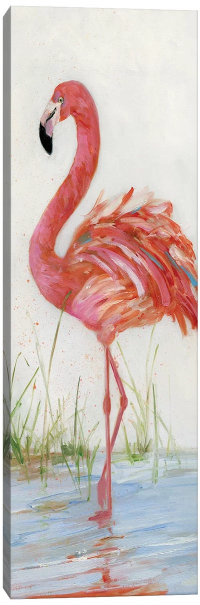 Flamingo II Canvas Art Print - Sally Swatland