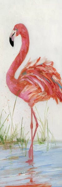 Flamingos: Flamingo II by Sally Swatland