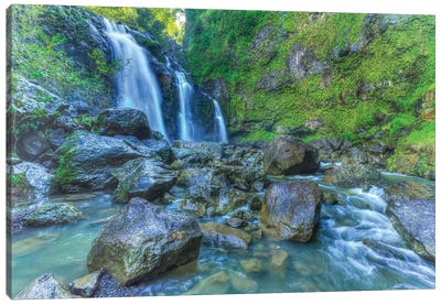 Waikani Falls, Hana Highway near Hana, East Maui, Hawaii, USA Canvas Art Print - Danita Delimont Photography