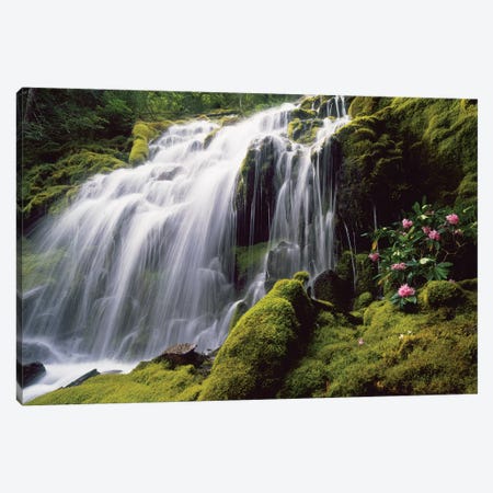 Waterfall and wild rhododendrons, Oregon. Canvas Print #SWE105} by Stuart Westmorland Canvas Wall Art