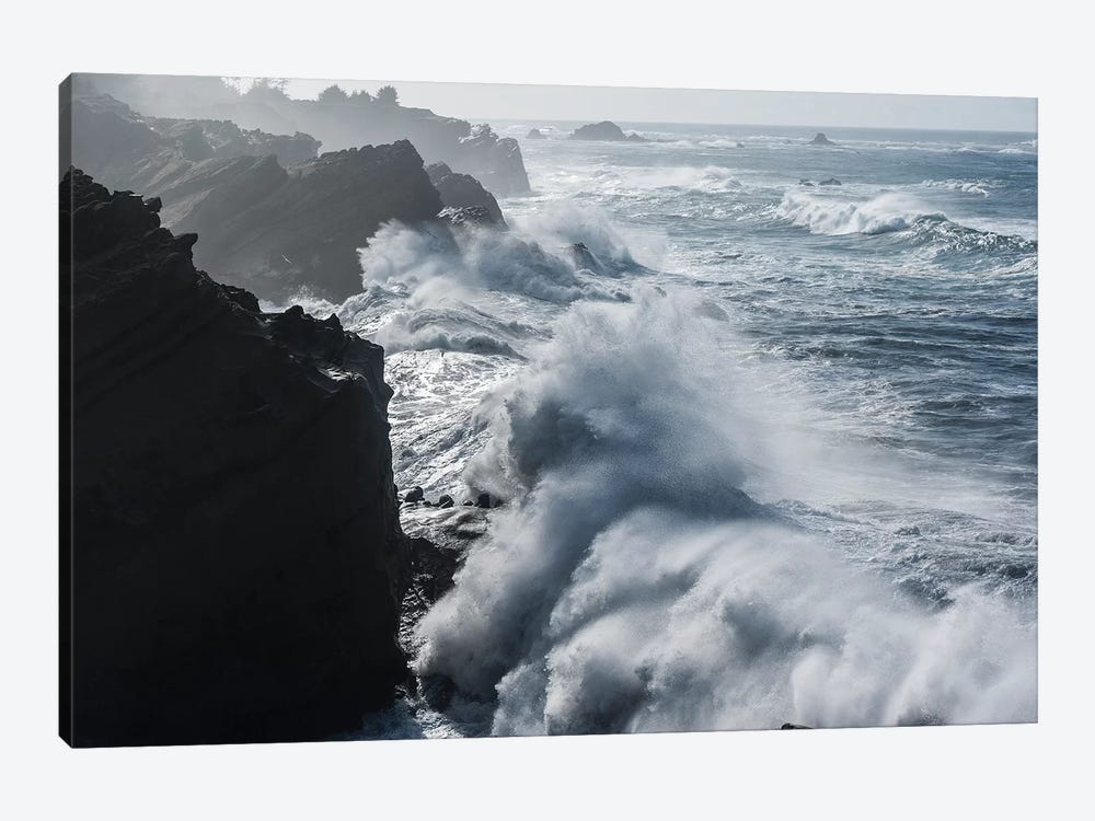 Winter storm watching, Shore Acres State Park, Southern Oregon Coast, USA by Stuart Westmorland 1-piece Canvas Artwork