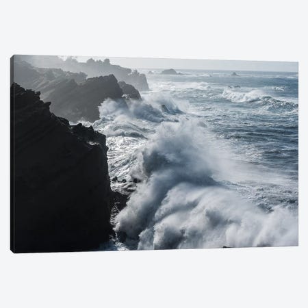 Winter storm watching, Shore Acres State Park, Southern Oregon Coast, USA Canvas Print #SWE108} by Stuart Westmorland Art Print