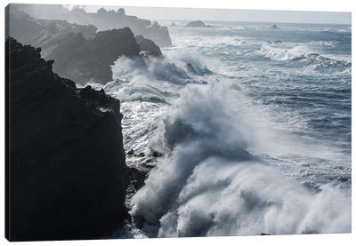Winter storm watching, Shore Acres State Park, Southern Oregon Coast, USA Canvas Art Print