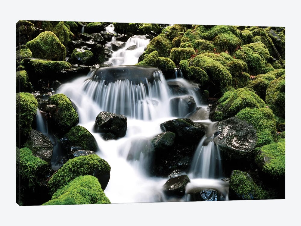 Cascading Mossy Stream, Sol Duc River Valley, Olympic National Park, Washington, USA by Stuart Westmorland 1-piece Canvas Art Print
