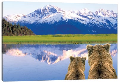 Alaska Brown Bears, Alaska. Canvas Art Print - Snowy Mountain Art