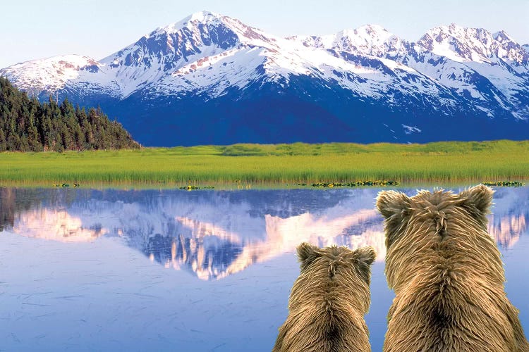 Alaska Brown Bears, Alaska.