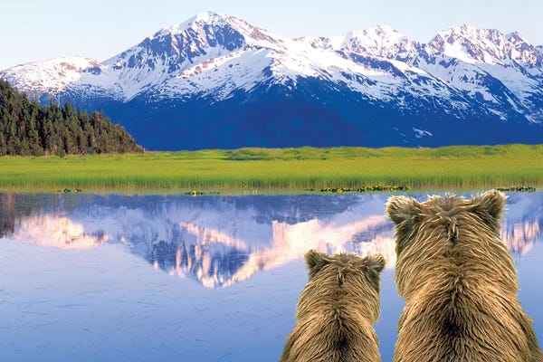 Stuart Westmorland: Alaska Brown Bears, Alaska. by Stuart Westmorland