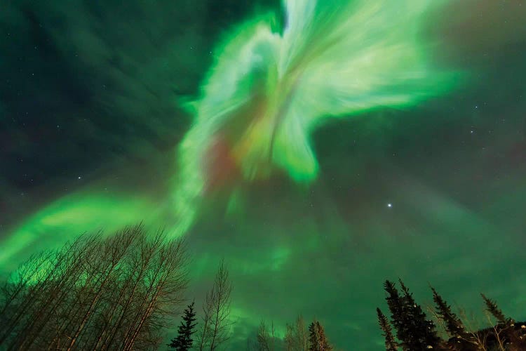 Aurora borealis, near Fairbanks, Alaska