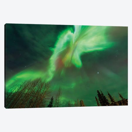 Aurora borealis, near Fairbanks, Alaska Canvas Print #SWE14} by Stuart Westmorland Canvas Artwork