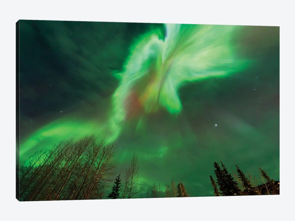 Aurora borealis, near Fairbanks, Alaska by Stuart Westmorland 1-piece Art Print