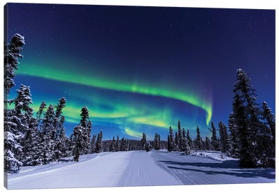 Aurora borealis, Northern Lights near Fairbanks, Alaska I Canvas Art Print - Aurora Borealis Art