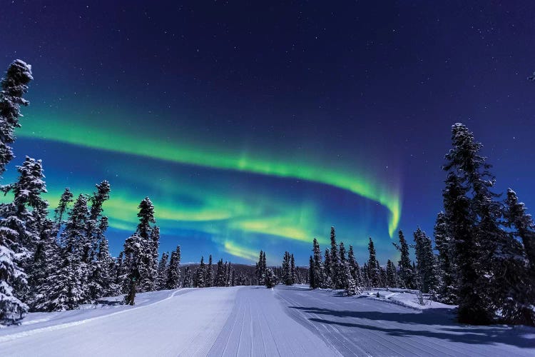 Aurora borealis, Northern Lights near Fairbanks, Alaska I