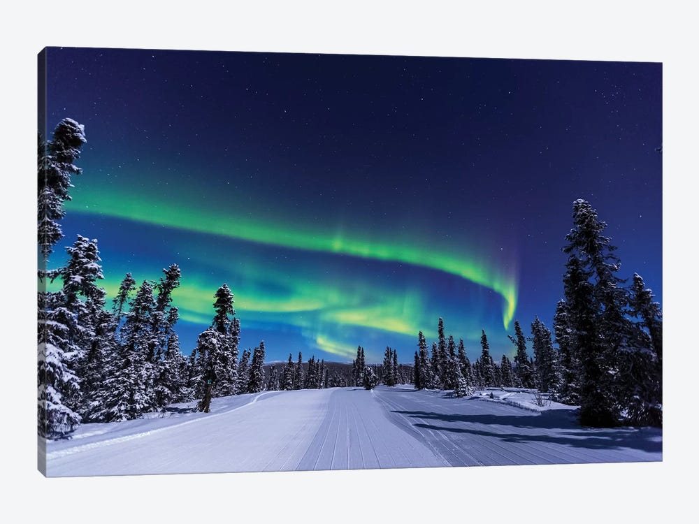 Aurora borealis, Northern Lights near Fairbanks, Alaska I 1-piece Canvas Art