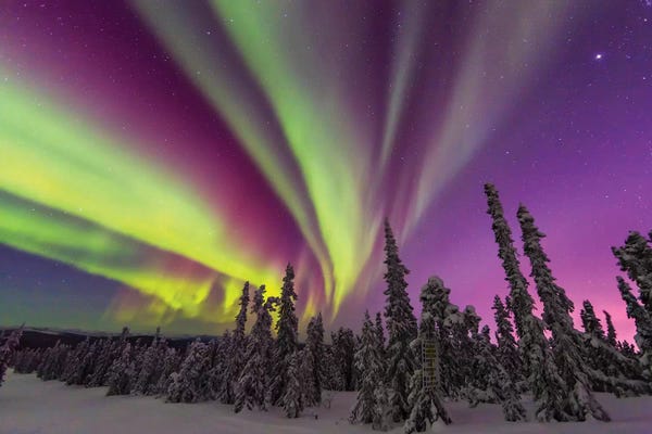 Aurora Borealis: Aurora Borealis II, Northern Lights Near Fairbanks, Alaska by Stuart Westmorland
